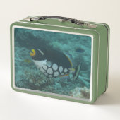 Clown Triggerfish Swims in Bega Lagoon Fidschi Metall Brotdose (Rückseite)