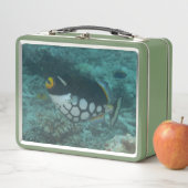 Clown Triggerfish Swims in Bega Lagoon Fidschi Metall Brotdose (Beispiel)