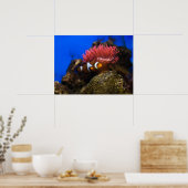 Clown vis poster (Küche)