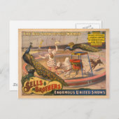 Clown-, Zebu- und PfauenCircus-Poster Postkarte (Vorne/Hinten)