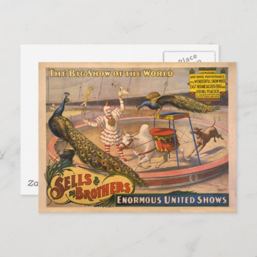 Clown-, Zebu- und PfauenCircus-Poster Postkarte (Vorne/Hinten)