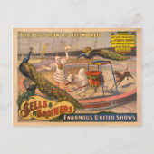 Clown-, Zebu- und PfauenCircus-Poster Postkarte (Vorderseite)