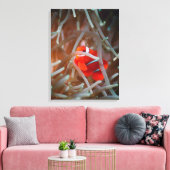 Clownanemonefisch 2 leinwanddruck (Insitu (Wohnzimmer))