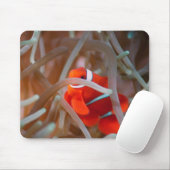 Clownanemonefisch 2 mousepad (Mit Mouse)