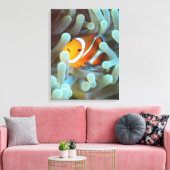 Clownanemonefisch 3 leinwanddruck (Insitu (Wohnzimmer))