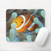 Clownanemonefisch 3 mousepad (Mit Mouse)