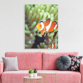 Clownanemonefisch 4 leinwanddruck (Insitu (Wohnzimmer))