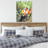 Clownanemonefisch 4 leinwanddruck (Insitu (Schlafzimmer))