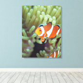 Clownanemonefisch 4 leinwanddruck (Insitu (Holzboden))