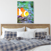 Clownanemonefisch Leinwanddruck (Insitu (Schlafzimmer))
