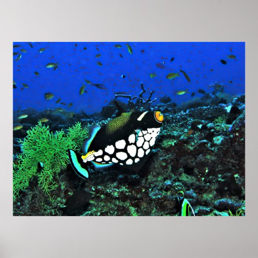 Clownauslöser am Riff Poster (Vorne)