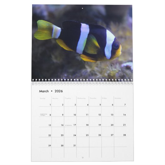 Clownfisch 2025 kalender (Mär 2026)