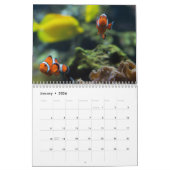 Clownfisch 2025 kalender (Jan 2026)