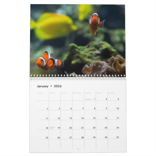 Clownfisch 2025 kalender (Jan 2026)