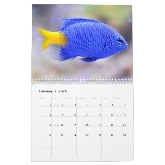 Clownfisch 2025 kalender (Feb 2026)