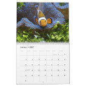 Clownfisch 2025 kalender (Jan 2027)