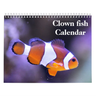 Clownfisch 2027 kalender