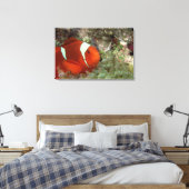 Clownfisch 2 leinwanddruck (Insitu (Schlafzimmer))