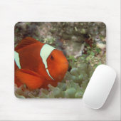 Clownfisch 2 mousepad (Mit Mouse)