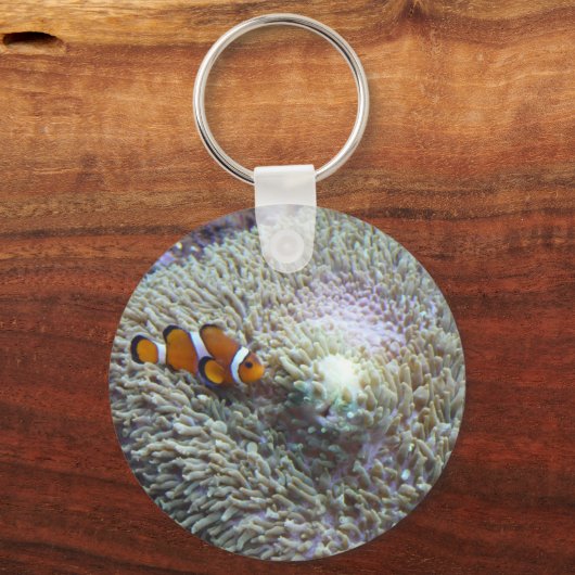 Clownfisch 3 schlüsselanhänger (Vorderseite)