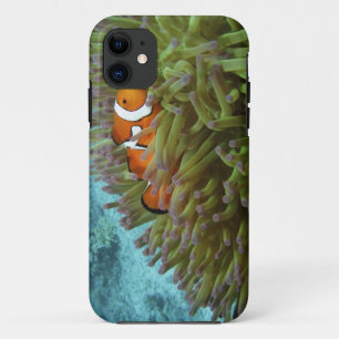 Clownfisch (Amphiprion ocellaris) Case-Mate iPhone Hülle