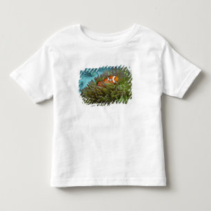 Clownfisch (Amphiprion ocellaris) Kleinkind T-shirt
