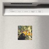 Clownfisch (Amphiprion ocellaris), Magnet (In Situ (Geschirrspüler))