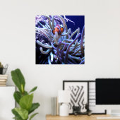 Clownfisch Anemone Poster (Heimbüro)
