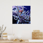 Clownfisch Anemone Poster (Küche)