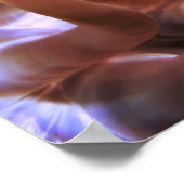 Clownfisch auf den Philippinen Poster (Ecke)