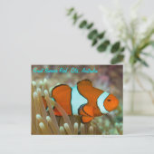 Clownfisch auf der Postkarte des Großen Barrier Re (Stehend Vorderseite)