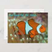 Clownfisch auf der Postkarte des Großen Barrier Re (Vorne/Hinten)