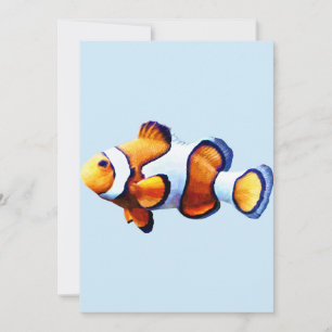 Clownfisch Ausschnitt