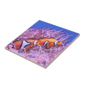 Clownfisch Fliese (Seite)