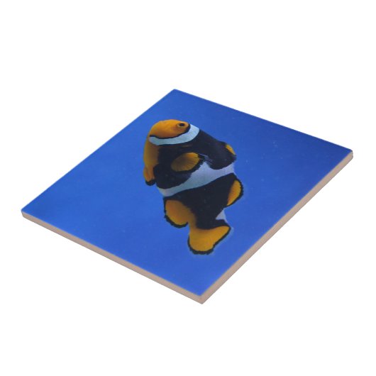 Clownfisch Fliese (Seite)