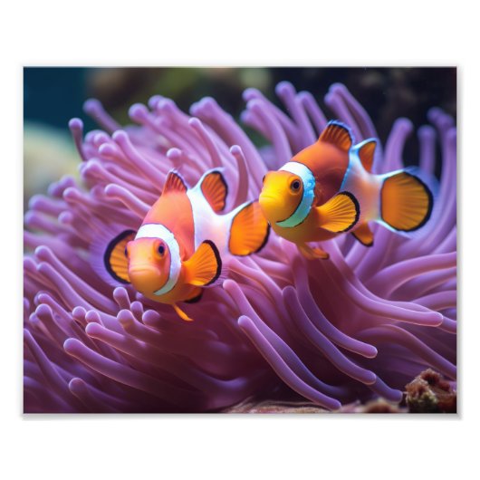 Clownfisch Foto drucken (Vorne)