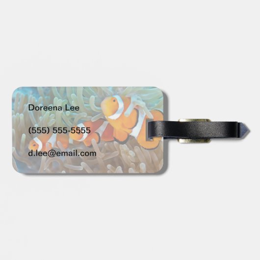 Clownfisch Gepäckanhänger (Rückseite horizontal)