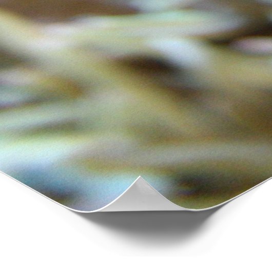 Clownfisch im Riff Poster (Ecke)