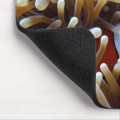 Clownfisch in einem Korallenriff Mousepad (Ecke)