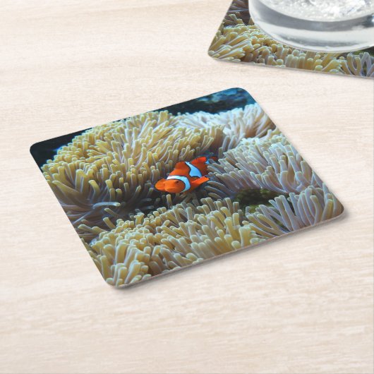 Clownfisch in einem Korallenriff Rechteckiger Pappuntersetzer (angewinkelt)