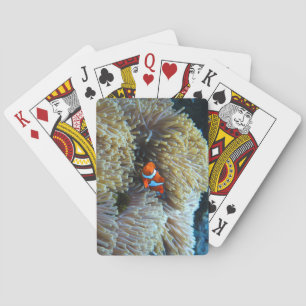 Clownfisch in einem Korallenriff Spielkarten