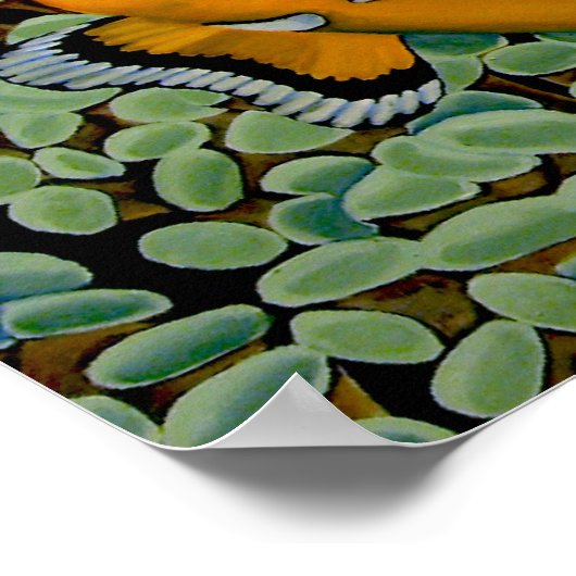 Clownfisch in Frogspawn Coral Poster (Ecke)