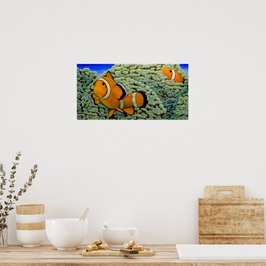 Clownfisch in Frogspawn Coral Poster (Küche)