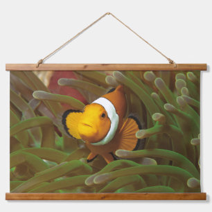 Clownfisch in grüner Anemone. Korallenriff Raja Am Wandteppich Mit Holzrahmen