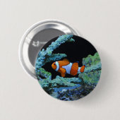 Clownfisch in Korallen Button (Vorne & Hinten)