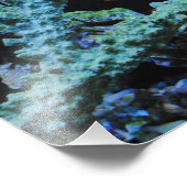 Clownfisch in Korallen Fotodruck (Ecke)