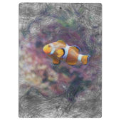 Clownfisch Klemmbrett (Rückseite)