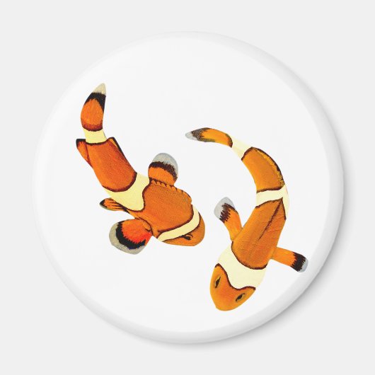 Clownfisch Magnet (Vorne)