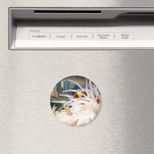 Clownfisch Magnet (In Situ (Geschirrspüler))