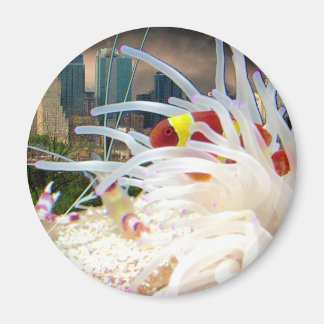 Clownfisch Magnet